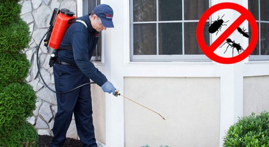 Soğukkuyu Kemirgen İlaçlama böcek ilaçlama ve haşere kontrolü — ilaclama-tr.com